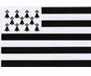 Drapeau breton 100 x 90 cm
